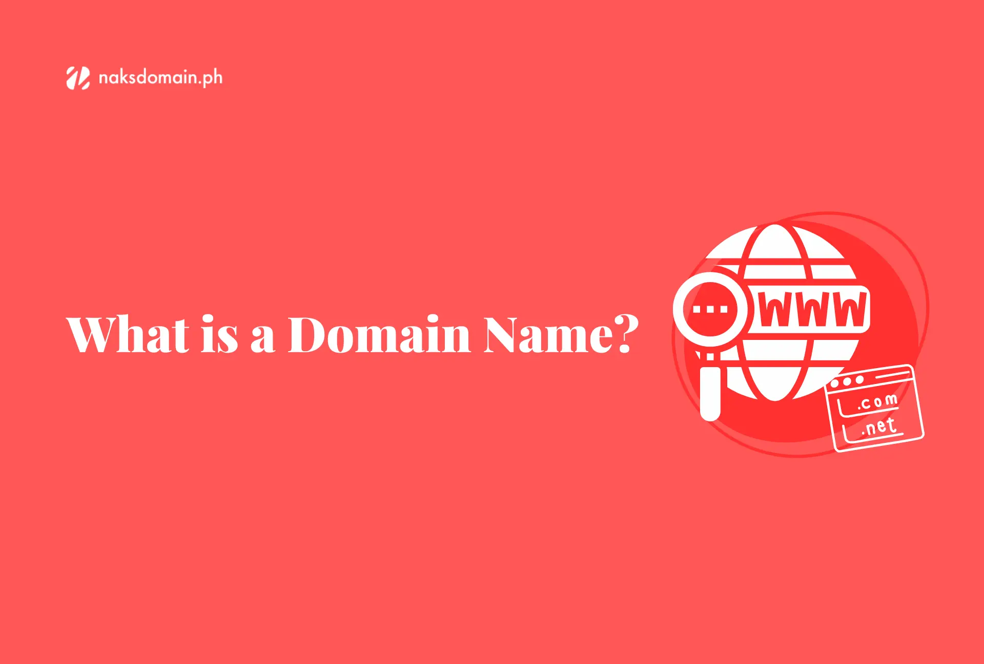 What is a Domain Name?